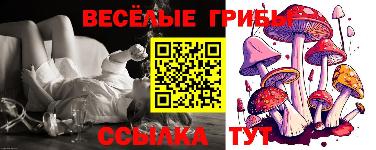 Галлюциногенные грибы MAGIC MUSHROOMS  Вход с VPN  Великие Луки  Галлюциногенные грибы Cubensis 
